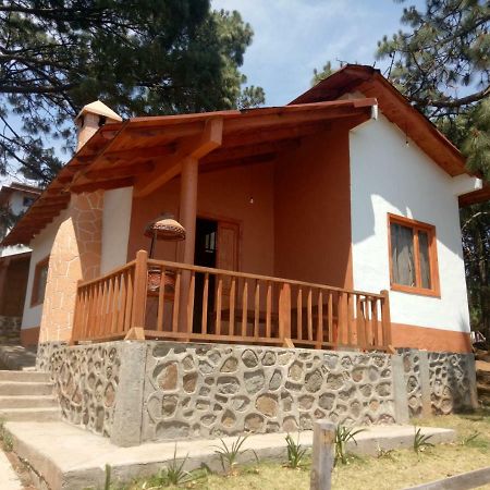 Cabanas Del Bosque Villa Mazamitla Kültér fotó