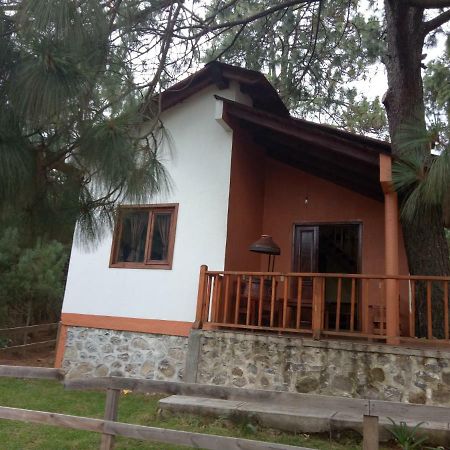 Cabanas Del Bosque Villa Mazamitla Kültér fotó