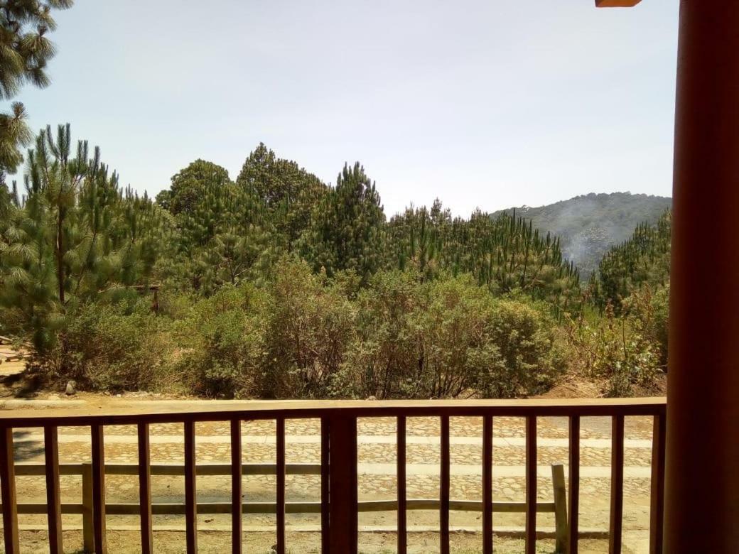 Cabanas Del Bosque Villa Mazamitla Kültér fotó