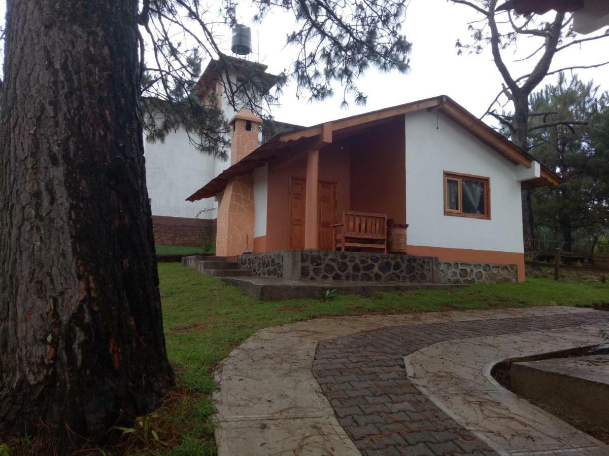 Cabanas Del Bosque Villa Mazamitla Kültér fotó