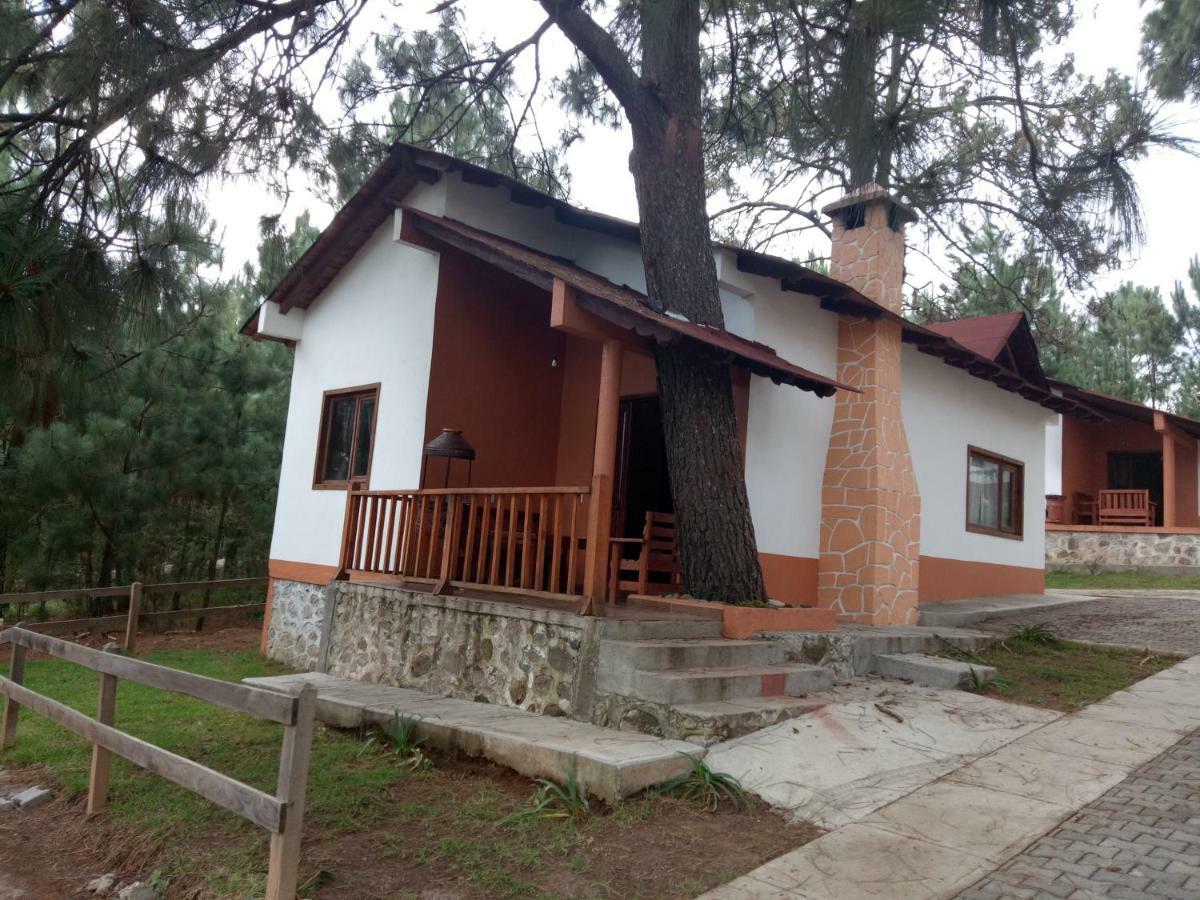 Cabanas Del Bosque Villa Mazamitla Kültér fotó